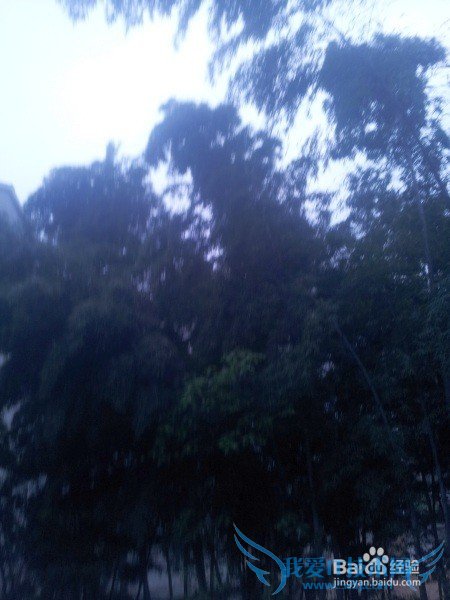 º¢×Ó¾õµÃѧϰÐÁ¿à·¢ÀÎɧÔõô°ì£¿