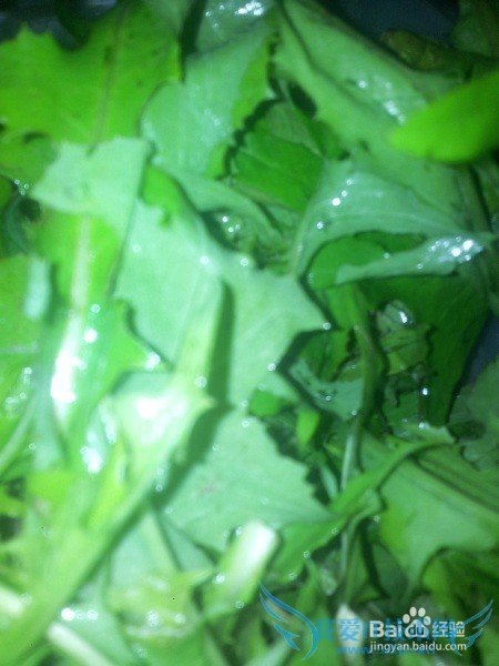 º¢×Ó¾õµÃѧϰÐÁ¿à·¢ÀÎɧÔõô°ì£¿