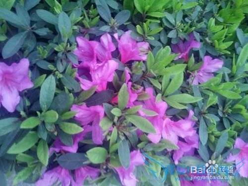 º¢×Ó¾õµÃѧϰÐÁ¿à·¢ÀÎɧÔõô°ì£¿