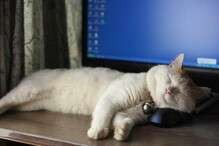 要想成功都有哪些禁忌