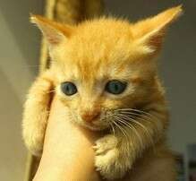 要想成功都有哪些禁忌