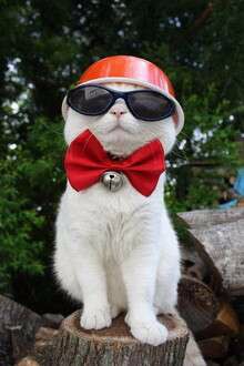 要想成功都有哪些禁忌