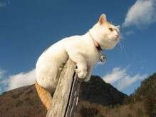 要想成功都有哪些禁忌