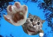 要想成功都有哪些禁忌