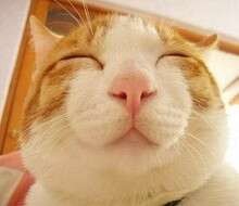 要想成功都有哪些禁忌