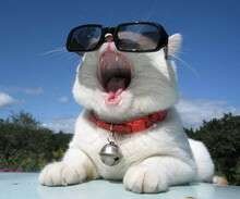 要想成功都有哪些禁忌