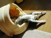 要想成功都有哪些禁忌