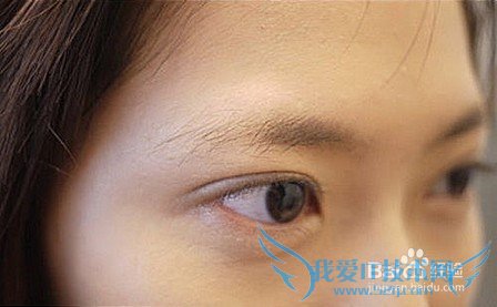 从眉毛看桃花运