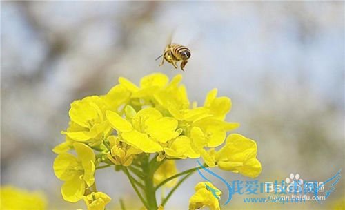 防治鼻炎小诀窍