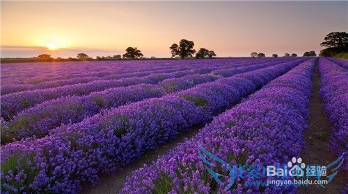 如何改善睡眠质量