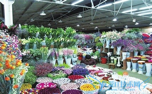 什么生意风险小还赚钱