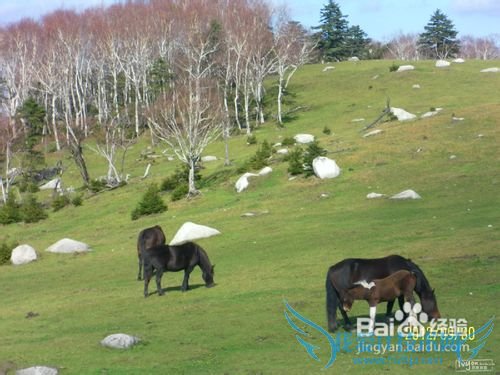 蛟河红叶谷游玩攻略
