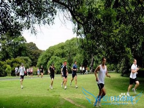 放假在家做什么好?