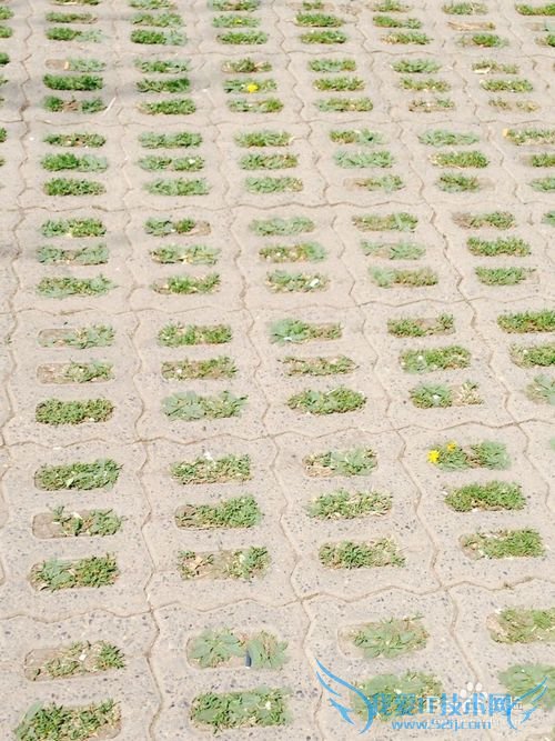 大学毕业生如何选择自己的职业?