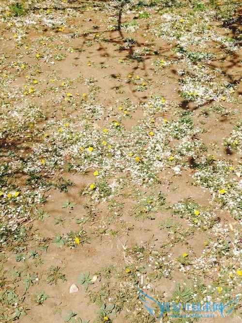 大学毕业生如何选择自己的职业?