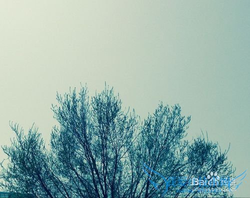 大学毕业生如何选择自己的职业?