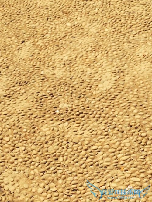 大学毕业生如何选择自己的职业?