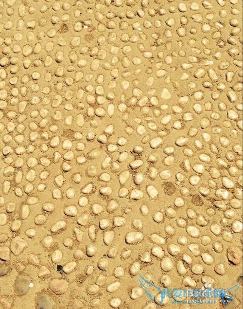 大学毕业生如何选择自己的职业?