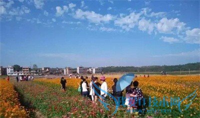 造纸术蔡伦的故乡有哪些好玩的地方