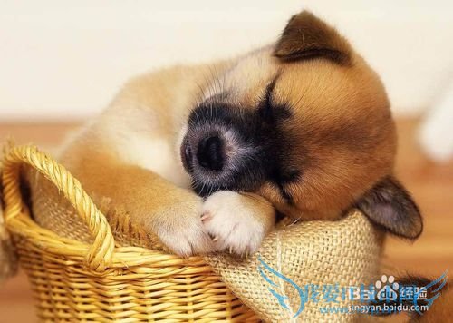 高考前的心态调整