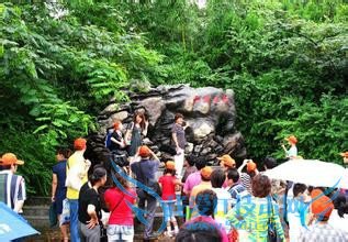 小长假该怎么度过?