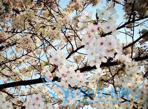 武汉两日游攻略