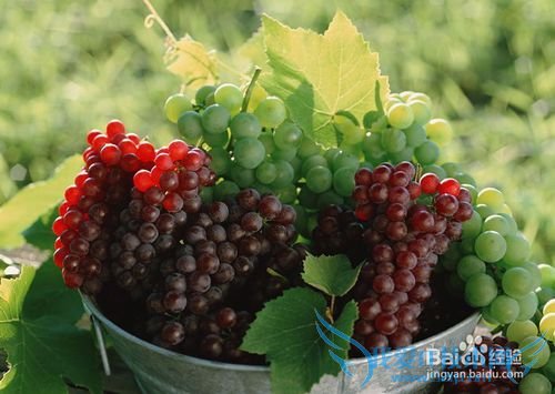 如何正确的了解水果?