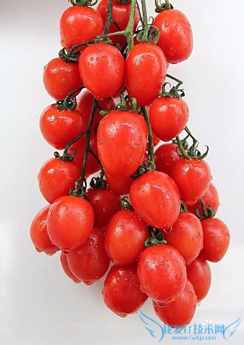 如何正确的了解水果?