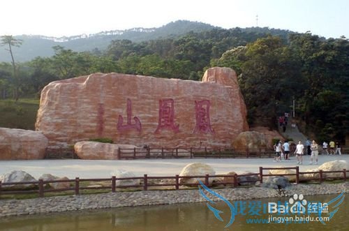 深圳有哪些好玩又免费的地方(图文)