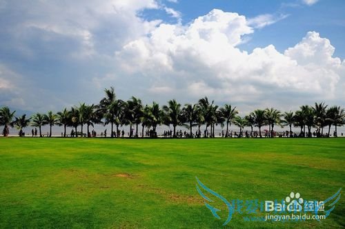 深圳有哪些好玩又免费的地方(图文)