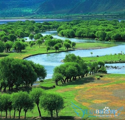 国内各月份最佳旅行地推荐