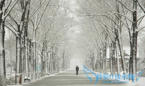 国内各月份最佳旅行地推荐