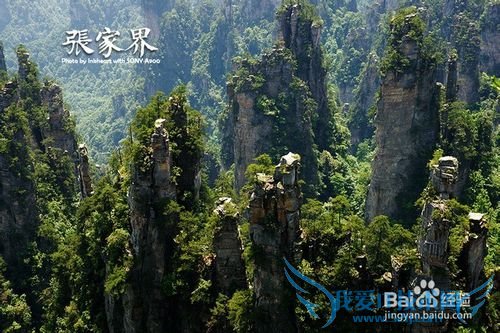 国内各月份最佳旅行地推荐