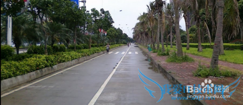 驾照理论考试技巧-C1