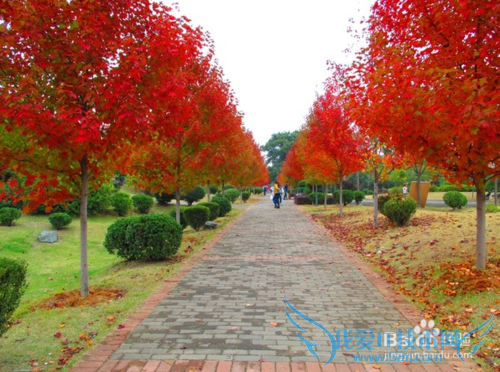 五一去哪儿玩人比较少——湖南篇