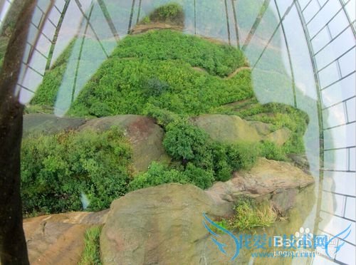 五一去哪儿玩人比较少——湖南篇