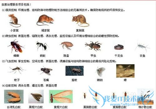 食品企业GMP良好操作规范内容简介
