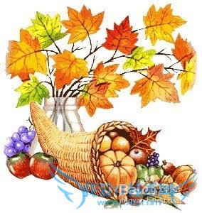 ȫ潲Thanksgiving---жڹ
