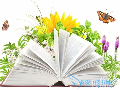 如何做英语四级翻译?