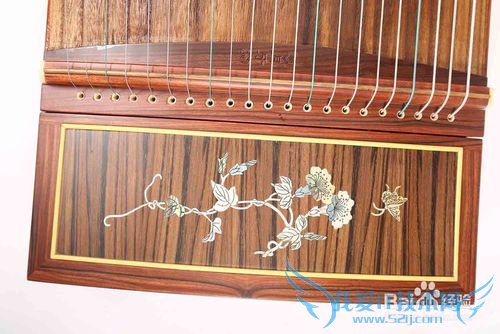 初学者买什么样的古筝好,初学者如何挑选古筝?