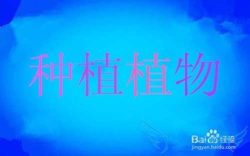 如何过一个充实的暑假