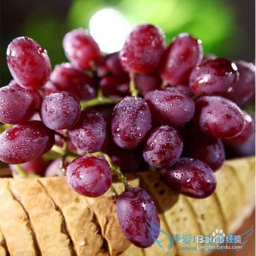 临近春节,餐馆放假,我们该怎样囤积美食才好?