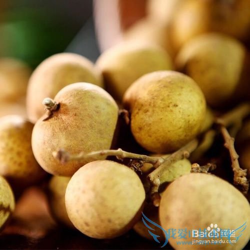 临近春节,餐馆放假,我们该怎样囤积美食才好?