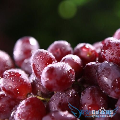 临近春节,餐馆放假,我们该怎样囤积美食才好?