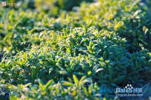 北京周边张家口官厅天漠自驾游摄影线路攻略