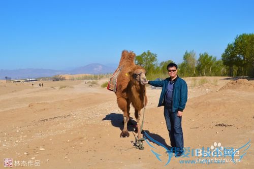 北京周边张家口官厅天漠自驾游摄影线路攻略