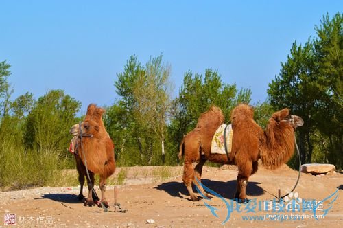 北京周边张家口官厅天漠自驾游摄影线路攻略