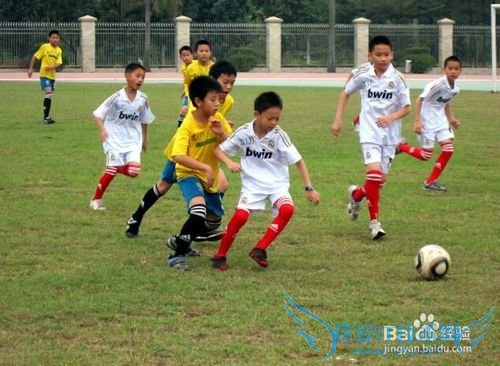 假期如何安排孩子的学习计划(小学篇)
