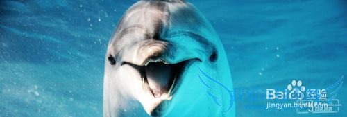 青岛五一游玩攻略