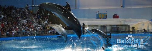 青岛五一游玩攻略